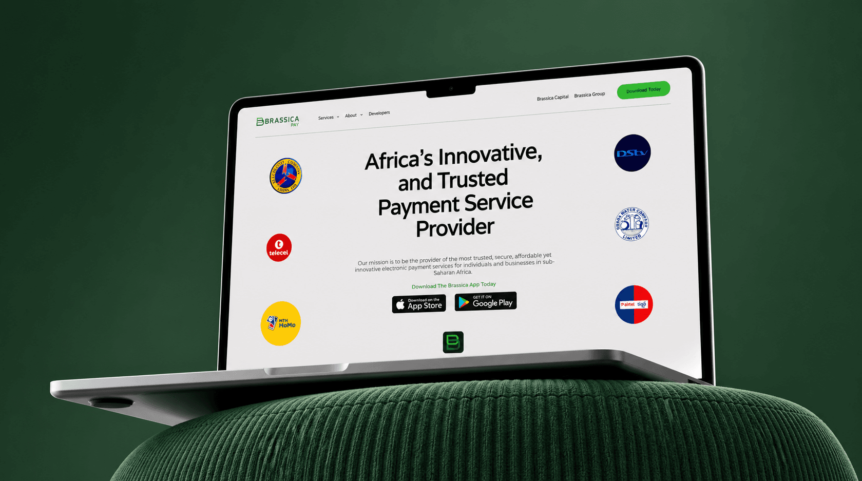 Brassica Pay — payments product brand and marketing site